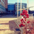 중일초등학교(병설) 이미지