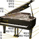 자마르실용음악학원 이미지
