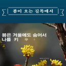 아라 일출 이미지