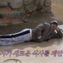 하얀민들레마을 이미지