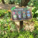 약초원근린공원 이미지