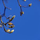 북성목장 이미지