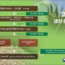 코익 이미지