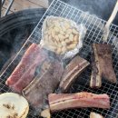 베이브리즈 이미지