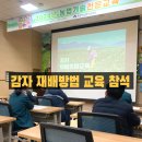 감자 재배방법 농업기술센터 교육 참석 감자 키우기 꿀팁 4가지