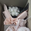 의정부 꽃집 어버이날 꽃다발 카네이션 꽃다발 추천 나빌레라 돈꽃다발 후기