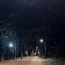 시민내과의원 이미지