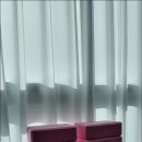 동천동 주민센터 | 동천동필라테스 선택 시 고려할 핵심 요소와 삶의 질 향상 방안