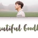 아름다운 반복 이미지