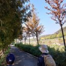 고양누리길 11코스 송강누리길 | 송강누리길 - 고양누리길 11코스