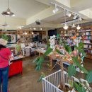 일리치약국 이미지