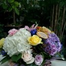 소호어린이집 이미지