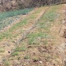 광주농장 이미지