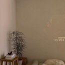 보느몽뜨 이미지