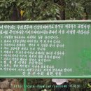 간촌1 Daum카페
