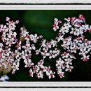 고려씨엠 이미지