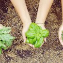 소수농장 이미지