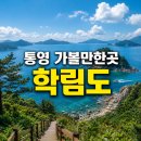 원전어촌계 (황금)낚시터 | 통영 가볼만한곳 학림도 배시간 요금 및 방파제 낚시 포인트 총정리