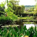 모네의정원 이미지