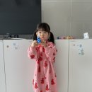 베베드봄