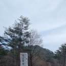 낙동정맥2기 맹동산~봉화산~명동산~포도산 이미지