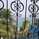 솔비치카페 이미지