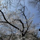 서가네오리 | [부산 가야] 지금가기 딱 좋은 오리불고기 맛집 서가네오리