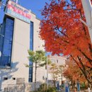 경희대영광태권도 이미지