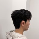 ATTO HAIR