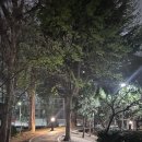 자월119치안센터 | 대전명상｜스트레스·우울·불면 겪고 찾은 21년 체험 후기