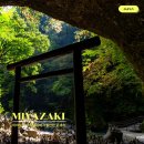 안성맞춤공감센터 배드민턴장(3코트) | 미야자키 11월 날씨와 숙소 여행지 추천