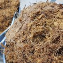 칡캐는오미자농부 | 갱년기 칡즙, 여성 갱년기에 칡즙이 좋은 이유