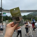 [3박 4일 대만여행] 대만 타이베이 근교 예스폭지 버스 투어 렛미히어 내돈내산 후기