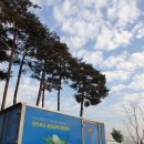 전주 푸드 이미지