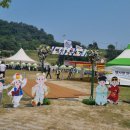 뽑아가 | 전남 영광 법성포 단오제 2025년 후기/ 일정 및 정보