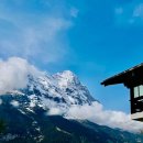 주식회사 리바이브 | - 스위스 쉼 프로젝트 대상자 선정 방법 -