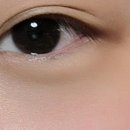뉴오레보 네이버블로그
