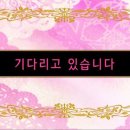 오븐마인드 네이버블로그