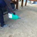 학림초교(병설) 이미지