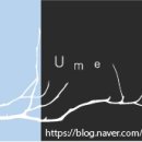 청운목장 이미지