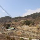 지리산둘레길 12구간 3부 먹점마을-대축마을-최참판댁 : 문암송의 생명평화 사상과 부부소나무 사랑의 영원성 이미지