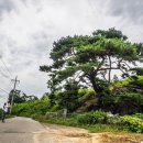 빗접바위 이미지