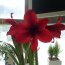 최재영한의원 이미지