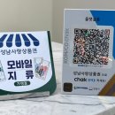 올펫살롱 이미지