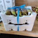 남악농장2 이미지