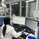 괴산고추축제 이미지