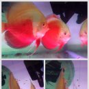 워터월드코리아 이미지