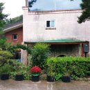 초락당한의원 이미지