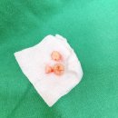 서울조아치과의원 이미지