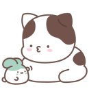 30구역